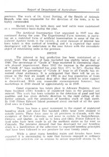 10387_OBJ-Thumbnail Image.jpg