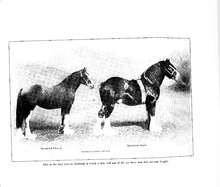 10467_OBJ-Thumbnail Image.jpg