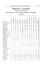 10897_OBJ-Thumbnail Image.jpg