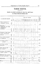 11019_OBJ-Thumbnail Image.jpg