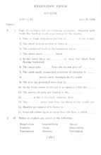 11149_OBJ-Thumbnail Image.jpg