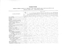 11422_OBJ-Thumbnail Image.jpg