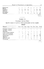 11954_OBJ-Thumbnail Image.jpg