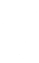 12176_OBJ-Thumbnail Image.jpg