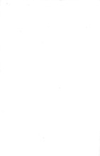 12428_OBJ-Thumbnail Image.jpg