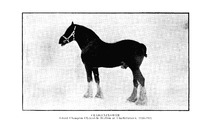 12714_OBJ-Thumbnail Image.jpg