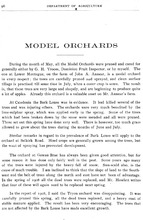 13233_OBJ-Thumbnail Image.jpg
