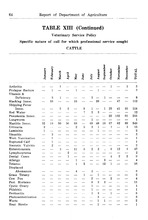 14304_OBJ-Thumbnail Image.jpg