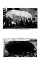 14382_OBJ-Thumbnail Image.jpg