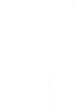 15029_OBJ-Thumbnail Image.jpg