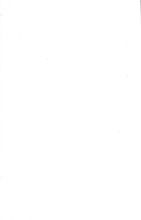 16158_OBJ-Thumbnail Image.jpg