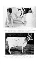 1651_OBJ-Thumbnail Image.jpg