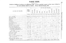 16540_OBJ-Thumbnail Image.jpg