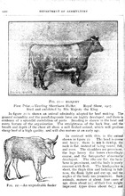 16764_OBJ-Thumbnail Image.jpg