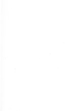 16870_OBJ-Thumbnail Image.jpg