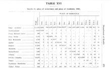 17260_OBJ-Thumbnail Image.jpg