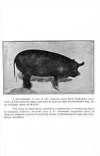 17773_OBJ-Thumbnail Image.jpg