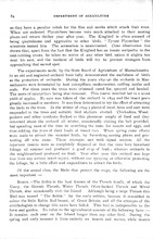18083_OBJ-Thumbnail Image.jpg