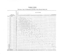 18098_OBJ-Thumbnail Image.jpg
