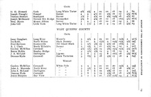 18740_OBJ-Thumbnail Image.jpg
