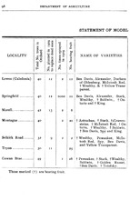 18988_OBJ-Thumbnail Image.jpg