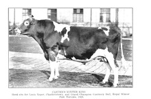 19706_OBJ-Thumbnail Image.jpg