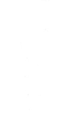 19961_OBJ-Thumbnail Image.jpg