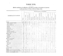 22266_OBJ-Thumbnail Image.jpg