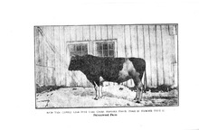23309_OBJ-Thumbnail Image.jpg