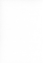 23370_OBJ-Thumbnail Image.jpg
