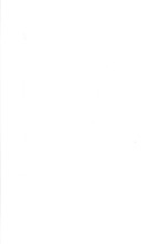 24026_OBJ-Thumbnail Image.jpg
