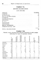 26124_OBJ-Thumbnail Image.jpg