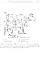 27353_OBJ-Thumbnail Image.jpg