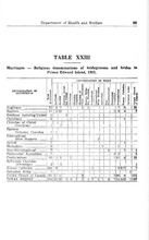 27386_OBJ-Thumbnail Image.jpg