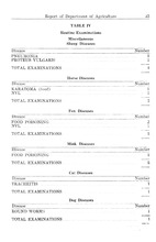 28026_OBJ-Thumbnail Image.jpg