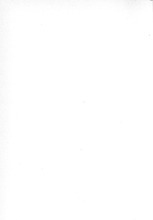 28384_OBJ-Thumbnail Image.jpg
