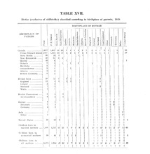 2881_OBJ-Thumbnail Image.jpg