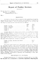 28987_OBJ-Thumbnail Image.jpg