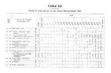 29041_OBJ-Thumbnail Image.jpg