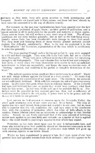 29867_OBJ-Thumbnail Image.jpg