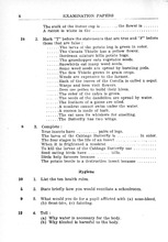 32171_OBJ-Thumbnail Image.jpg