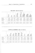 3260_OBJ-Thumbnail Image.jpg