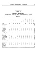 33026_OBJ-Thumbnail Image.jpg