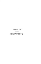 33405_OBJ-Thumbnail Image.jpg