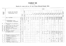 33475_OBJ-Thumbnail Image.jpg