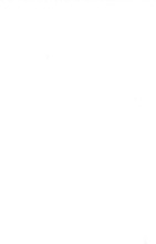 33881_OBJ-Thumbnail Image.jpg