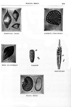 34131_OBJ-Thumbnail Image.jpg