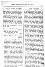 35523_OBJ-Thumbnail Image.jpg