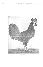 35616_OBJ-Thumbnail Image.jpg