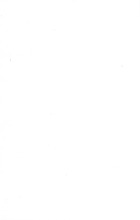38195_OBJ-Thumbnail Image.jpg